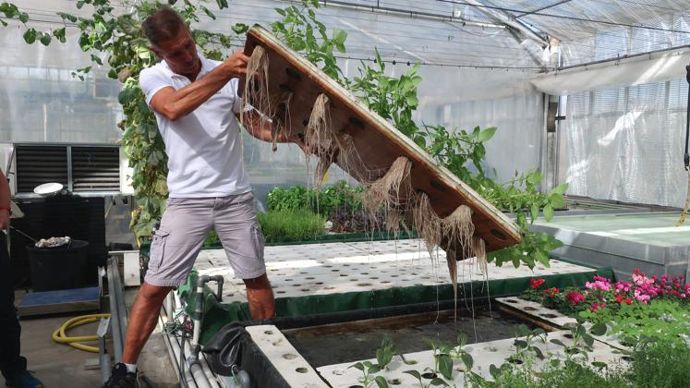 Au Ratho à Brindas (69) en 2018, Bernard Darfeuille présentait les installations grandeur nature de sa station d’expérimentations horticoles. L’enracinement est parfait. ©Odile Maillard